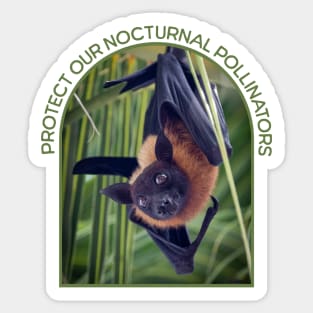 Protect Bats Sticker